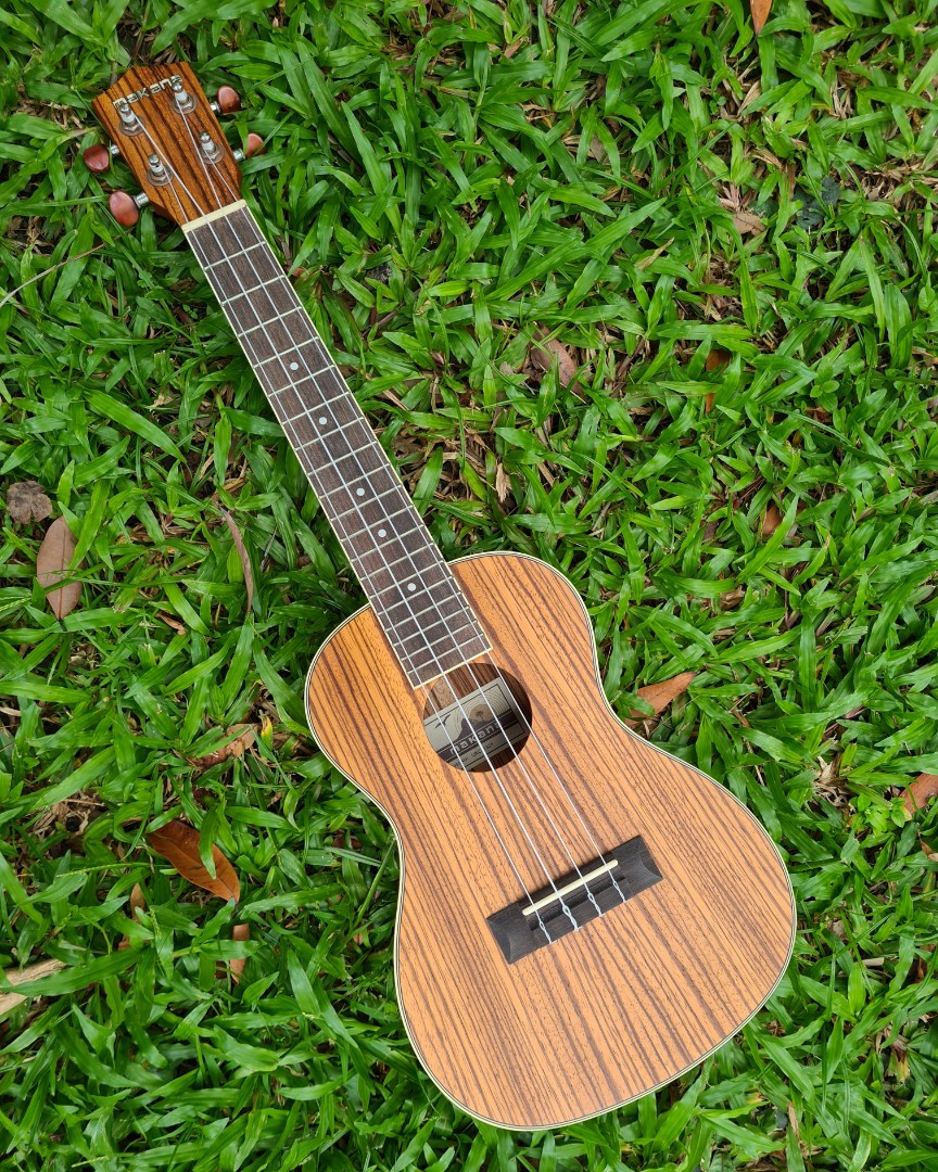Ukulele classes, Hobbies & Toys, Music & Media, Musical Instruments on