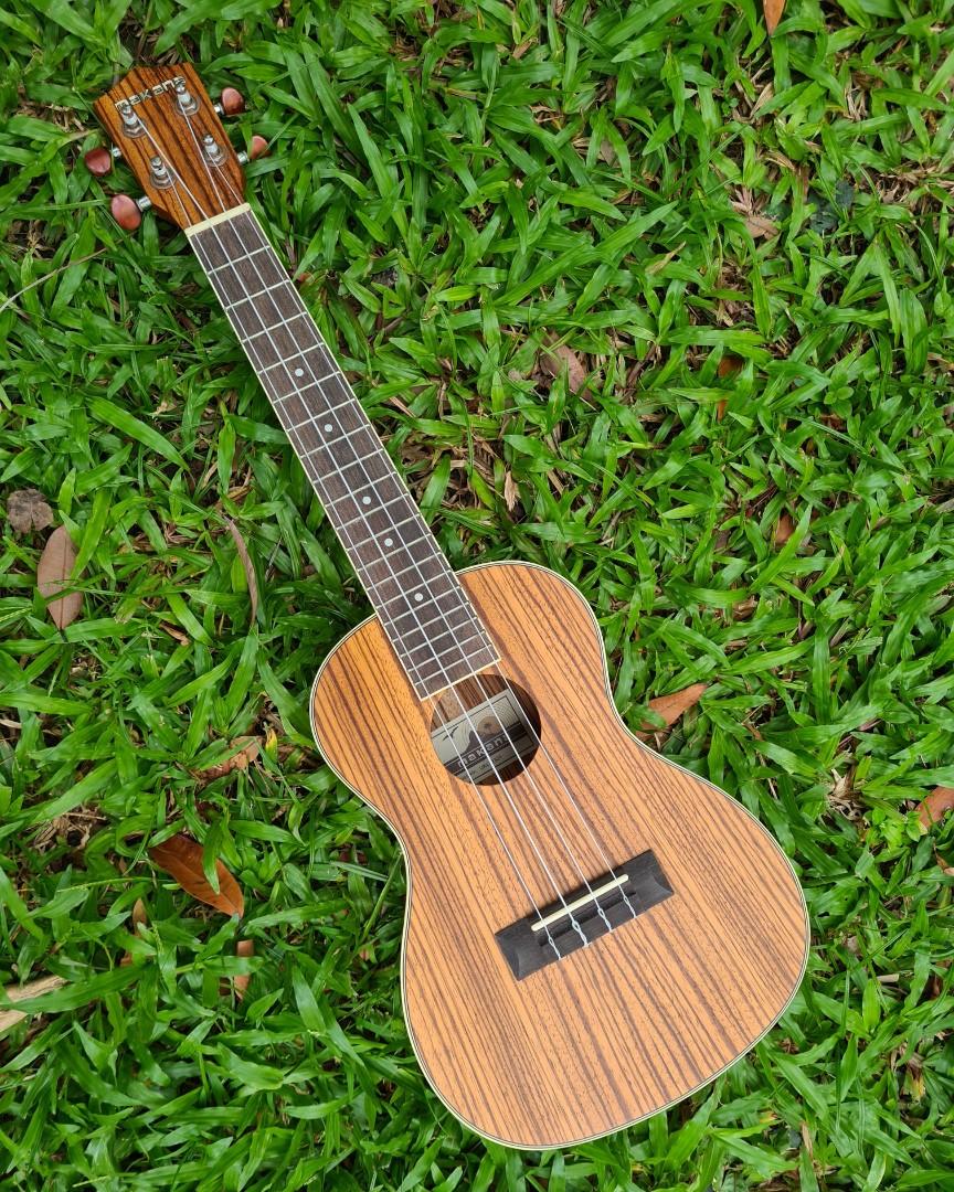 Ukulele classes, Hobbies & Toys, Music & Media, Musical Instruments on