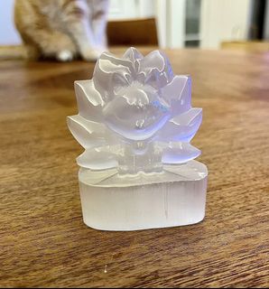 （分類：）位於 。 由 fafajewellery 提交（商品編號 1171068686，圖片 1）。簡介： 。
