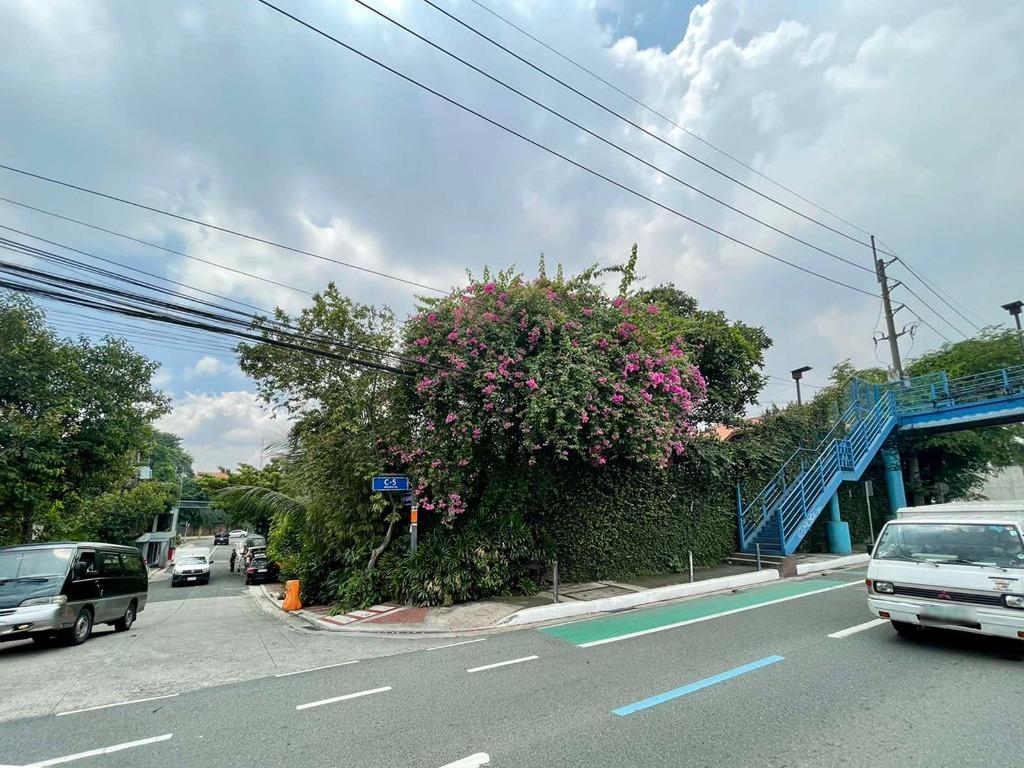 Blue Ridge 1,075.5 sqm Prime Commercial Corner Lot for Sale in Quezon