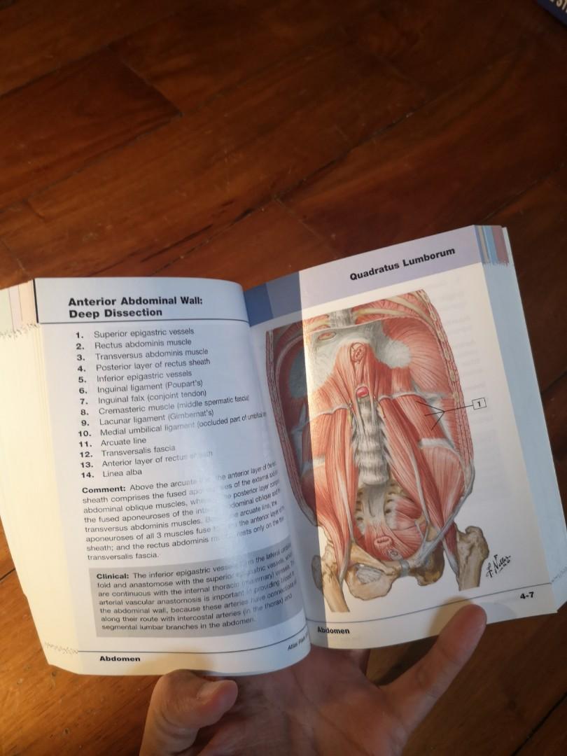 Essential Guide to Netter's Anatomy 3rd Ed, Hobbies & Toys, Books ...