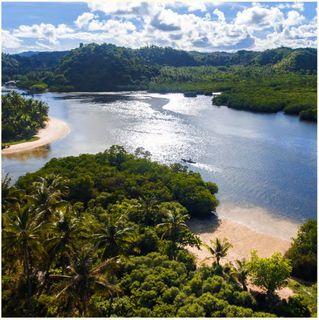 For Sale: 9000++ Beachfront lot in Siargao, for P434M