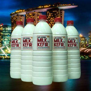 Life-Giving Kefir Milk (1 Liter) - Cultured Organic Whole Milk (100% Natural)