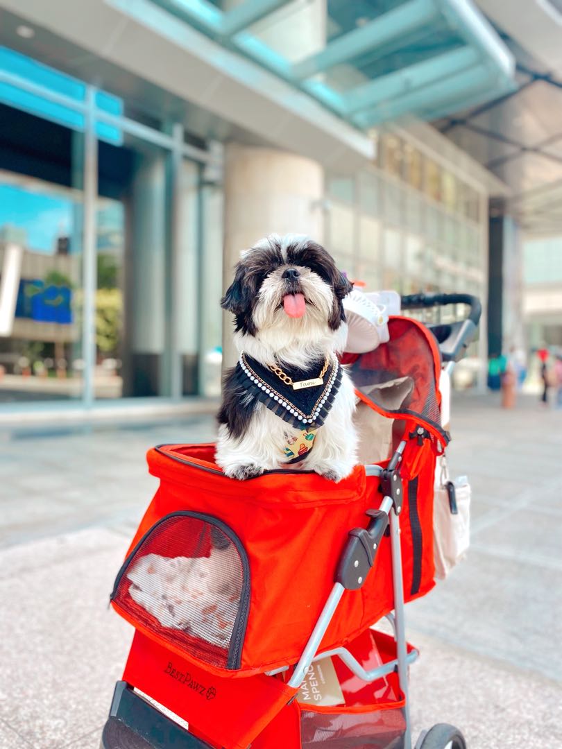 Preloved discount dog stroller