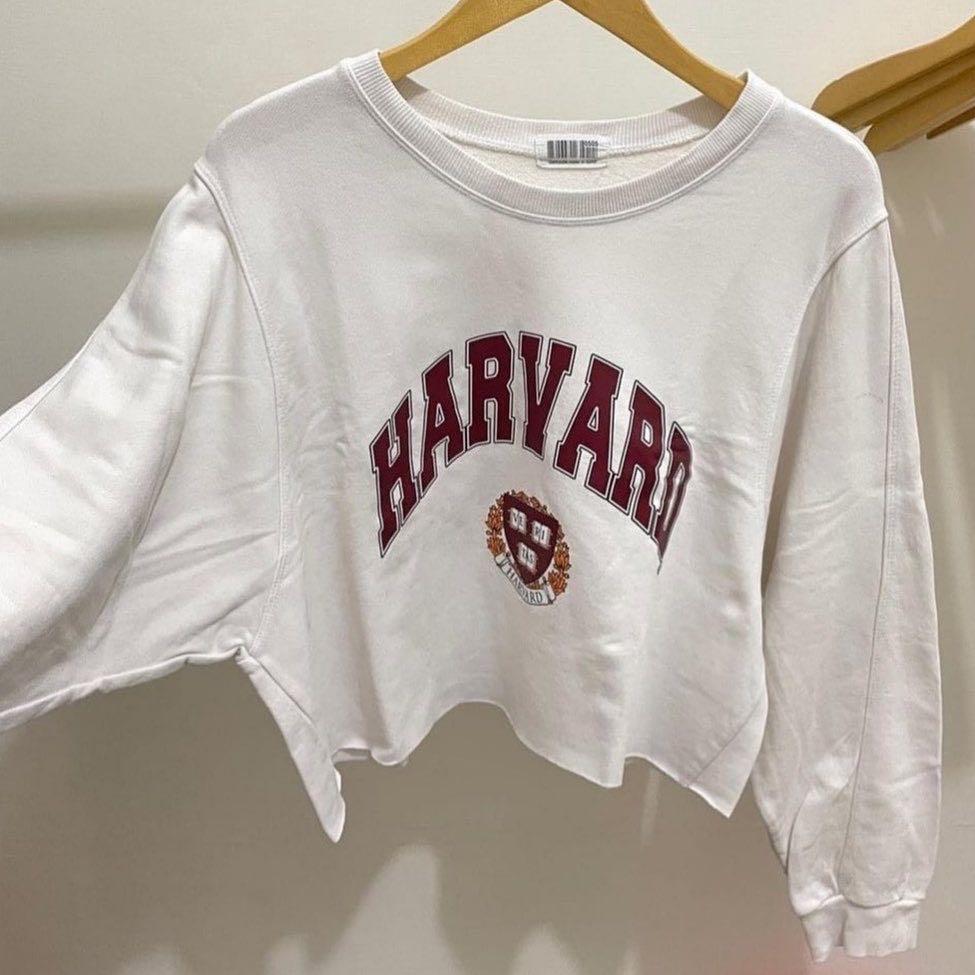 Harvard crop top sweater