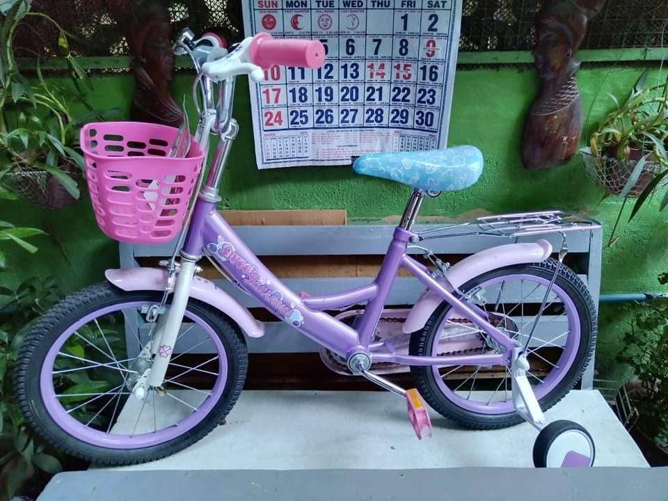Toy kingdom bike, Sports Equipment, Bicycles & Parts, Bicycles on Carousell