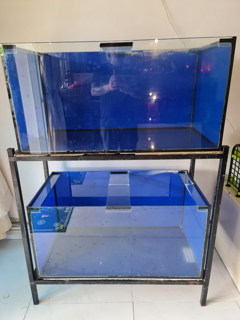 Used fish tanks for sale near me top
