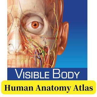 Visible Body Human Anatomy Atlas [PC version]