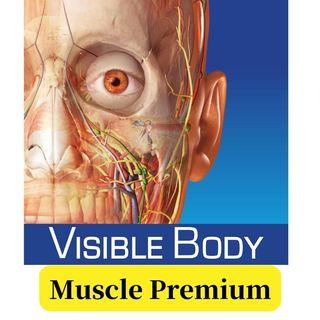 Visible Body Muscle Premium [PC version]