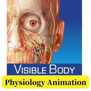 Visible Body Physiology Animation [PC version]
