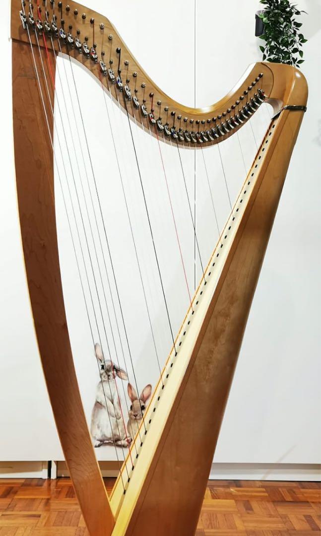 CAMAC lever Harp Isolde