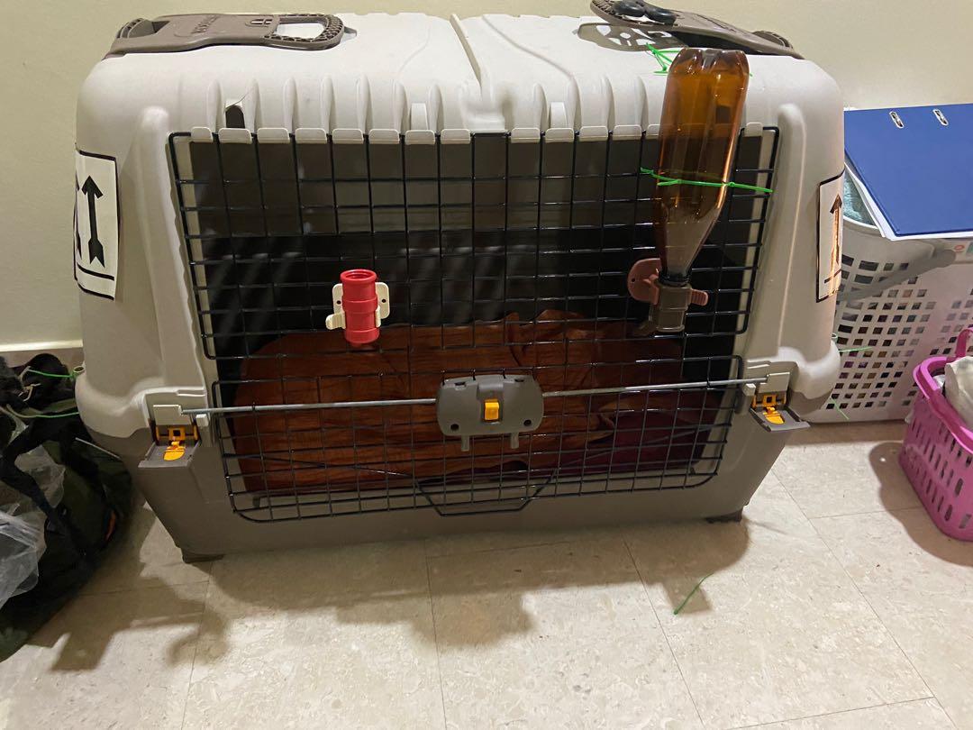 Side opening dog crate hot sale