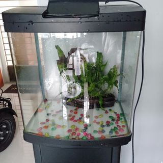 (Category: ) located in . Submitted by rj0107 (Listing ID 1171322161, Image 1). Description: .