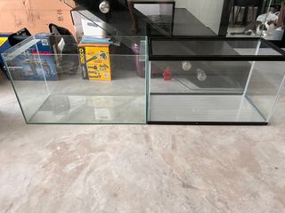 (Category: ) located in . Submitted by nic9331 (Listing ID 1171413434, Image 1). Description: .