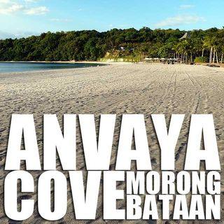 For Sale Anvaya Cove Lot in Morong Bataan