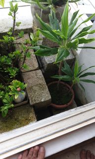 (Category: ) located in . Submitted by jt2851 (Listing ID 1171268707, Image 1). Description: .