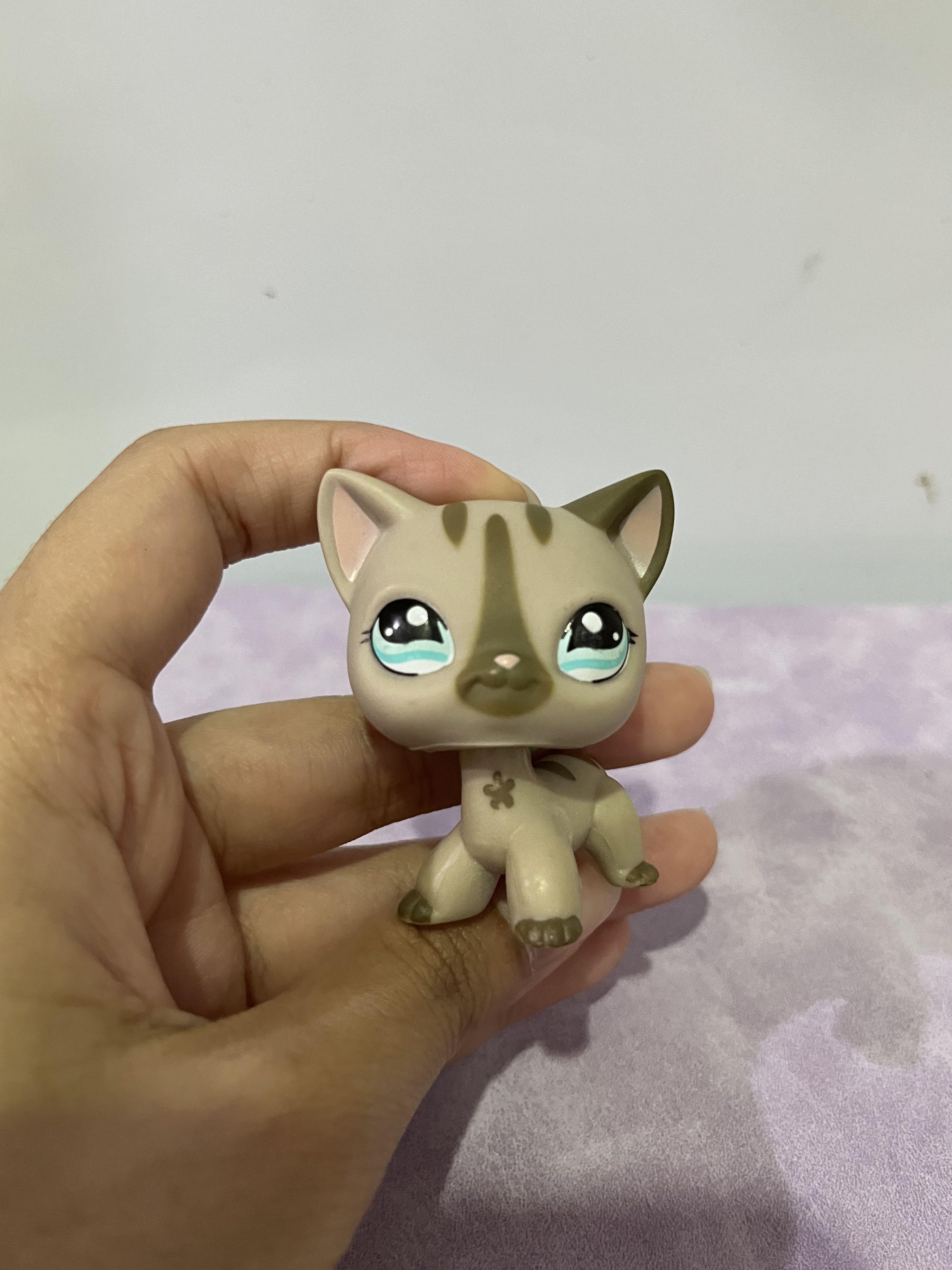 LPS Shorthair Cat, Hobbies & Toys, Toys & Games on Carousell