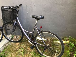 (Category: ) located in . Submitted by kathiech (Listing ID 1171315151, Image 1). Description: .
