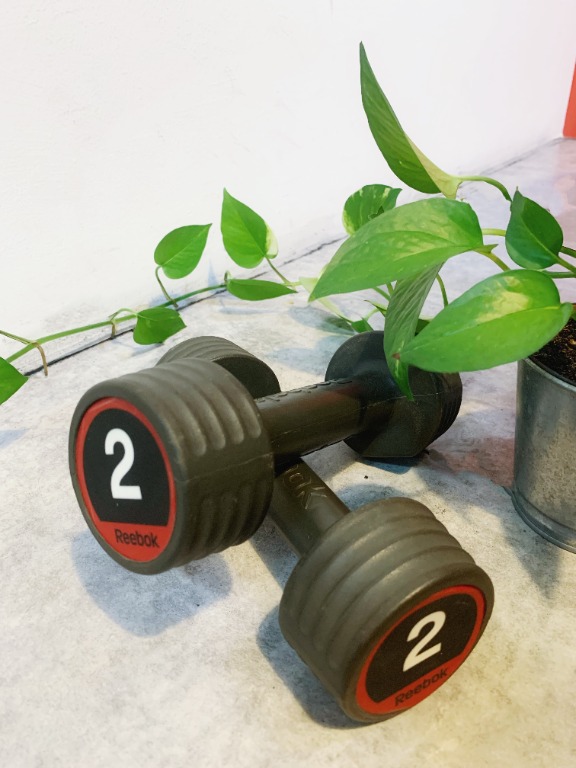 Pre owned 2kg Dumbbells Sports Equipment Exercise Fitness Weights Dumbbells on Carousell
