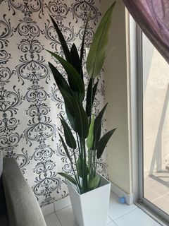 (Category: ) located in . Submitted by ayyrid (Listing ID 1171432265, Image 1). Description: .