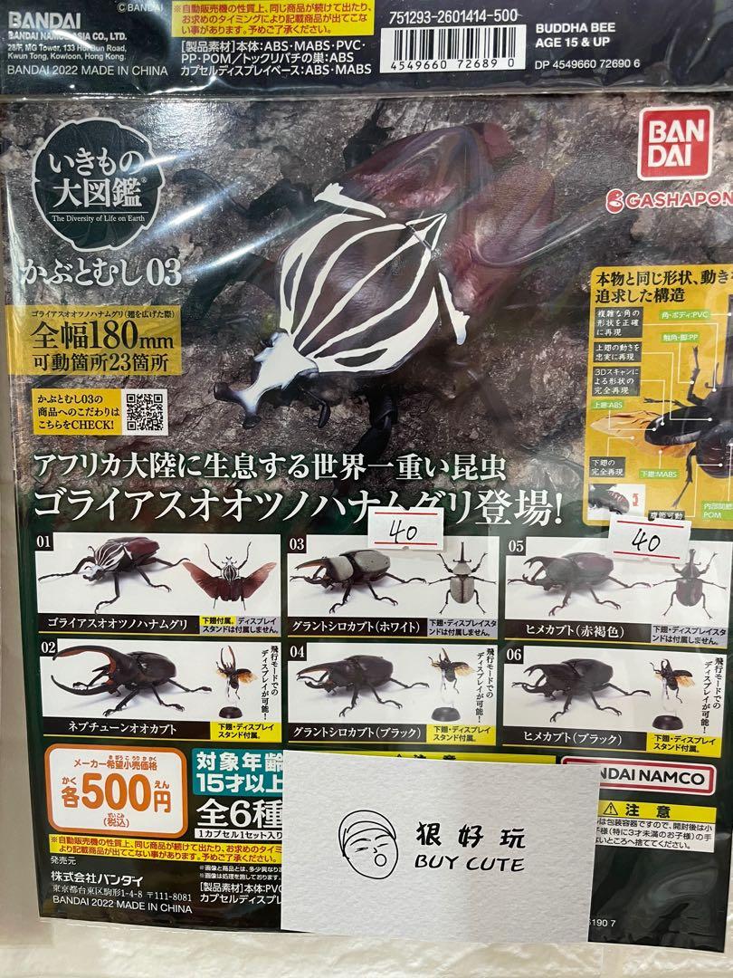 即納！最大半額！ 昆虫の分類 復刻版 生物学 - questkafe.ru