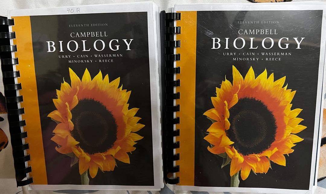 Campbell Biology 11th Edition Ring Binder, Hobbies & Toys, Books