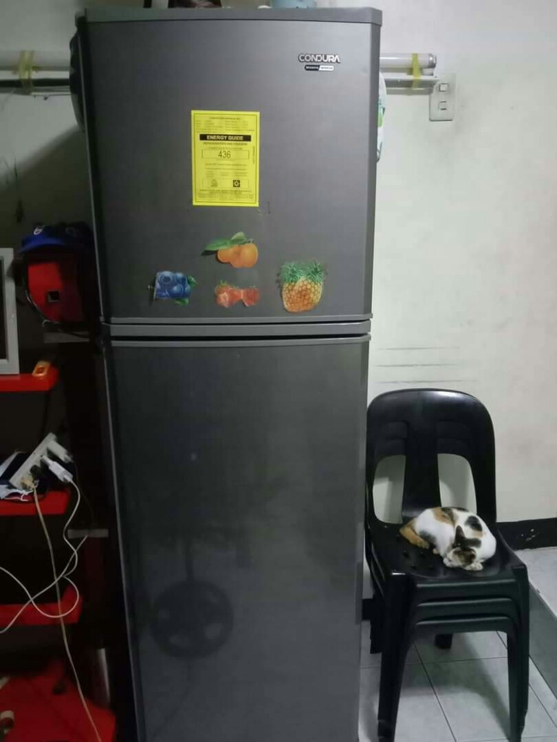 Condura refrigerator 9.8 cubic sale