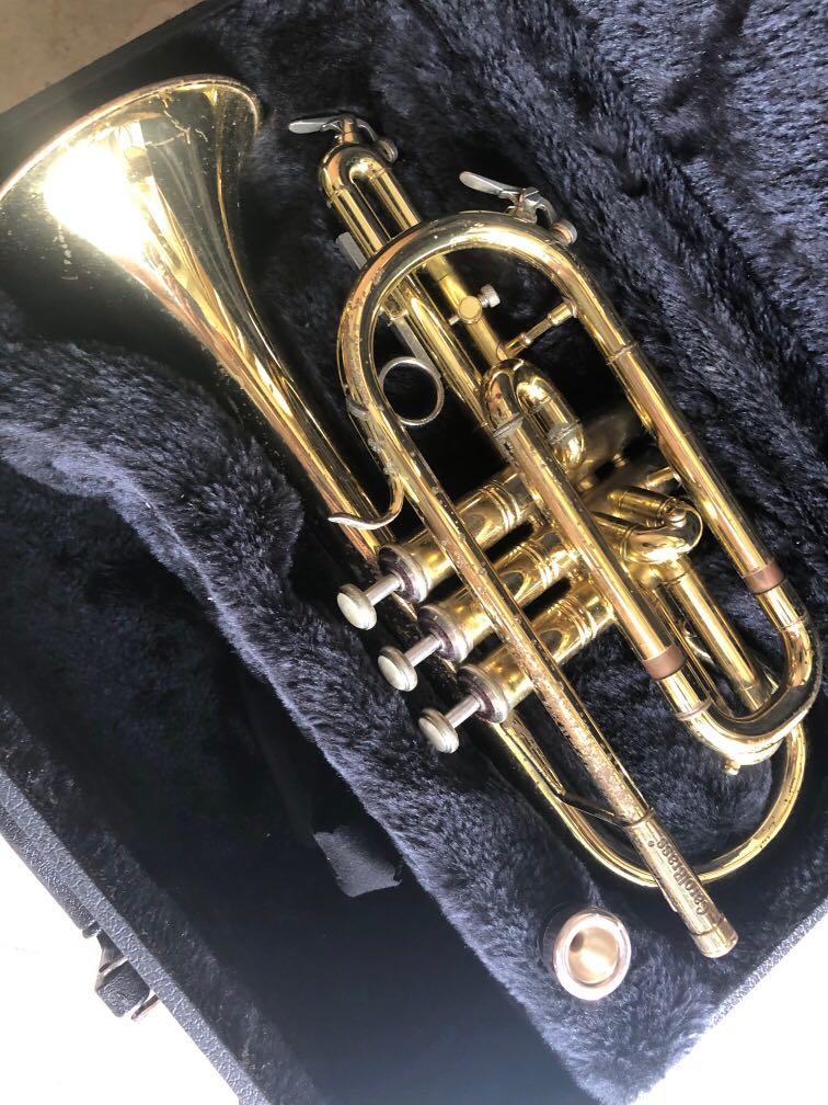 Carol Brass, Hobbies & Toys, Music & Media, Musical Instruments