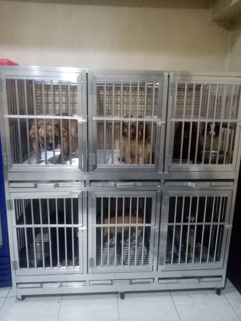 dog cage, Pet Supplies, Homes & Other Pet Accessories on Carousell