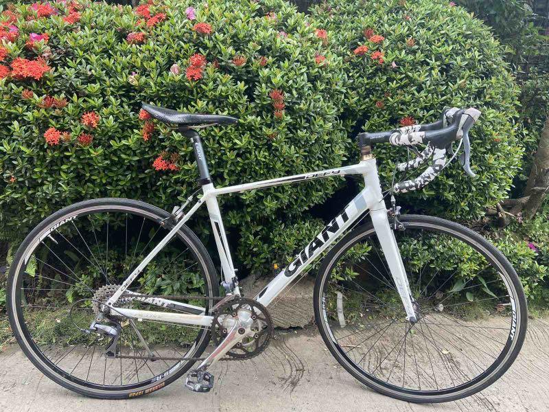 Giant Defy road bike medium size 2x8 speed Claris