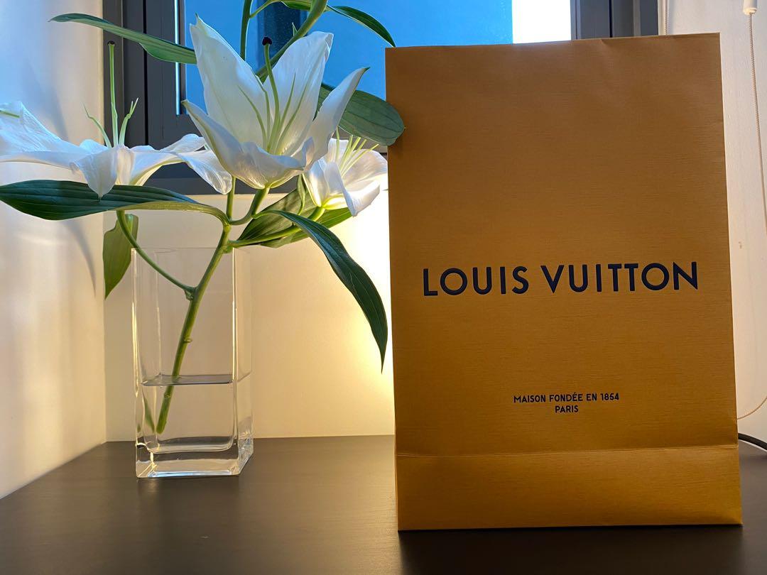 Latest yr 2022 Louis Vuitton paper bag, Luxury, Accessories on Carousell