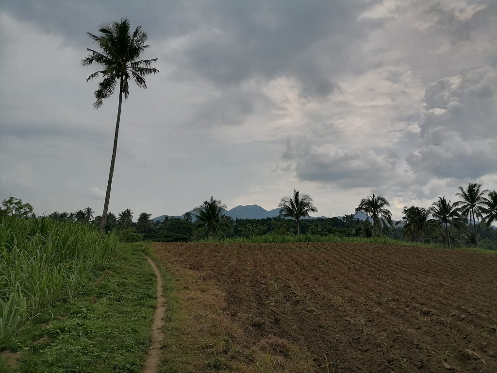 Magallanes Cavite Residential/Farm lot 250 sqm. with Title, Property