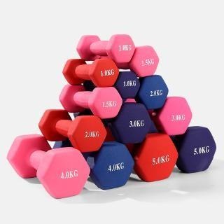 Color Neoprene Hex Dumbbells (From 1 to 5KG) Vinyl, Sports Equipment ...