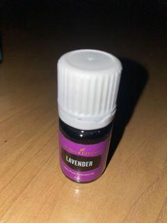 Young Living Lavender 5ml Essential Oil