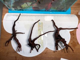 （分類：）位於 。 由 mrpumpkin 提交（商品編號 1177681592，圖片 1）。簡介： 。