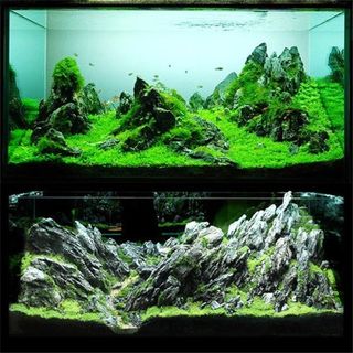 (Category: ) located in . Submitted by sweetzcorner (Listing ID 1177809177, Image 1). Description: .