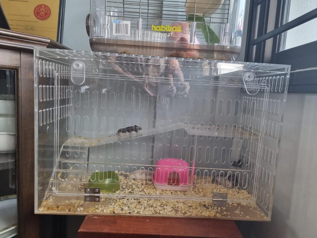 12 Tall 20L Story Aquarium Cage Tank Topper Gerbil Rat, 50 OFF