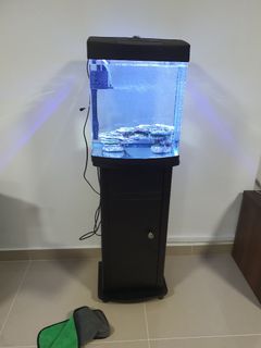 (Category: ) located in . Submitted by yamura28 (Listing ID 1177422900, Image 1). Description: .