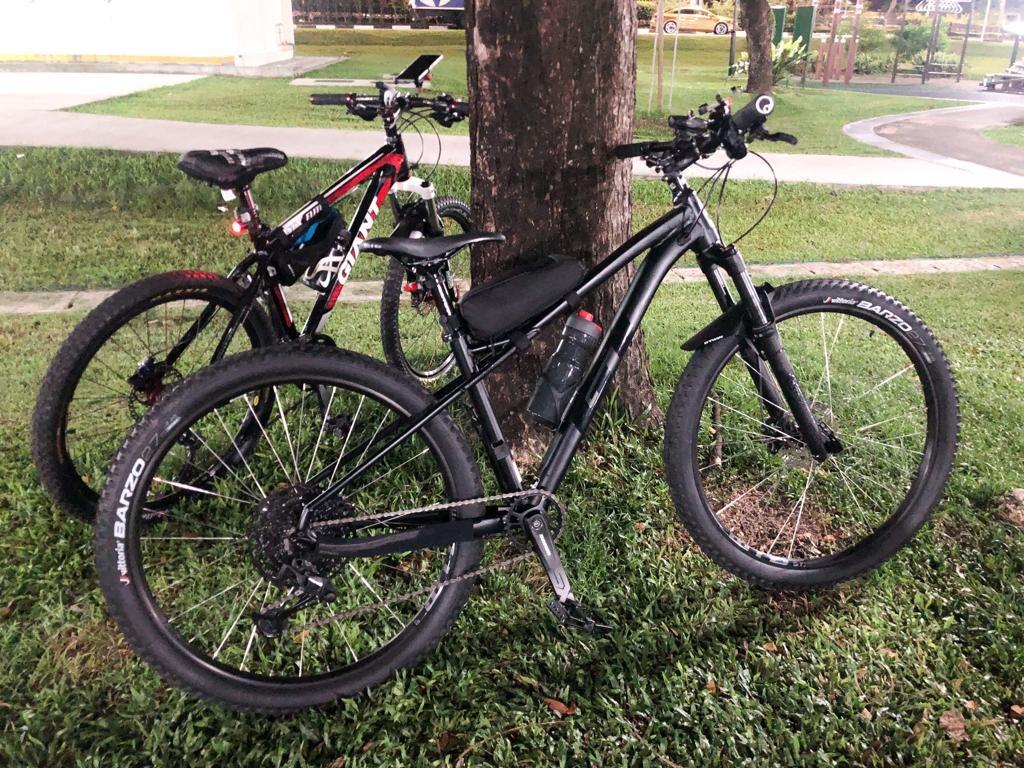 gt avalanche expert 2021