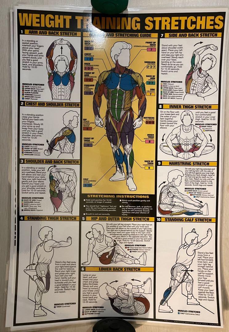 Workout For Your Shoulders Laminated Fitness Poster