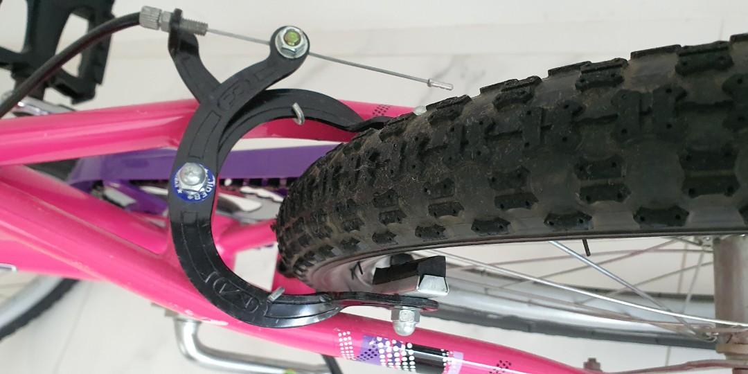 Magna sapphire bike online
