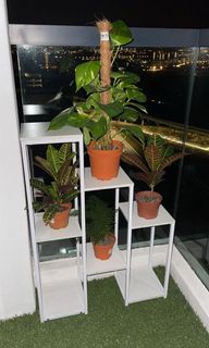 (Category: ) located in . Submitted by nomad1028 (Listing ID 1177677618, Image 1). Description: .