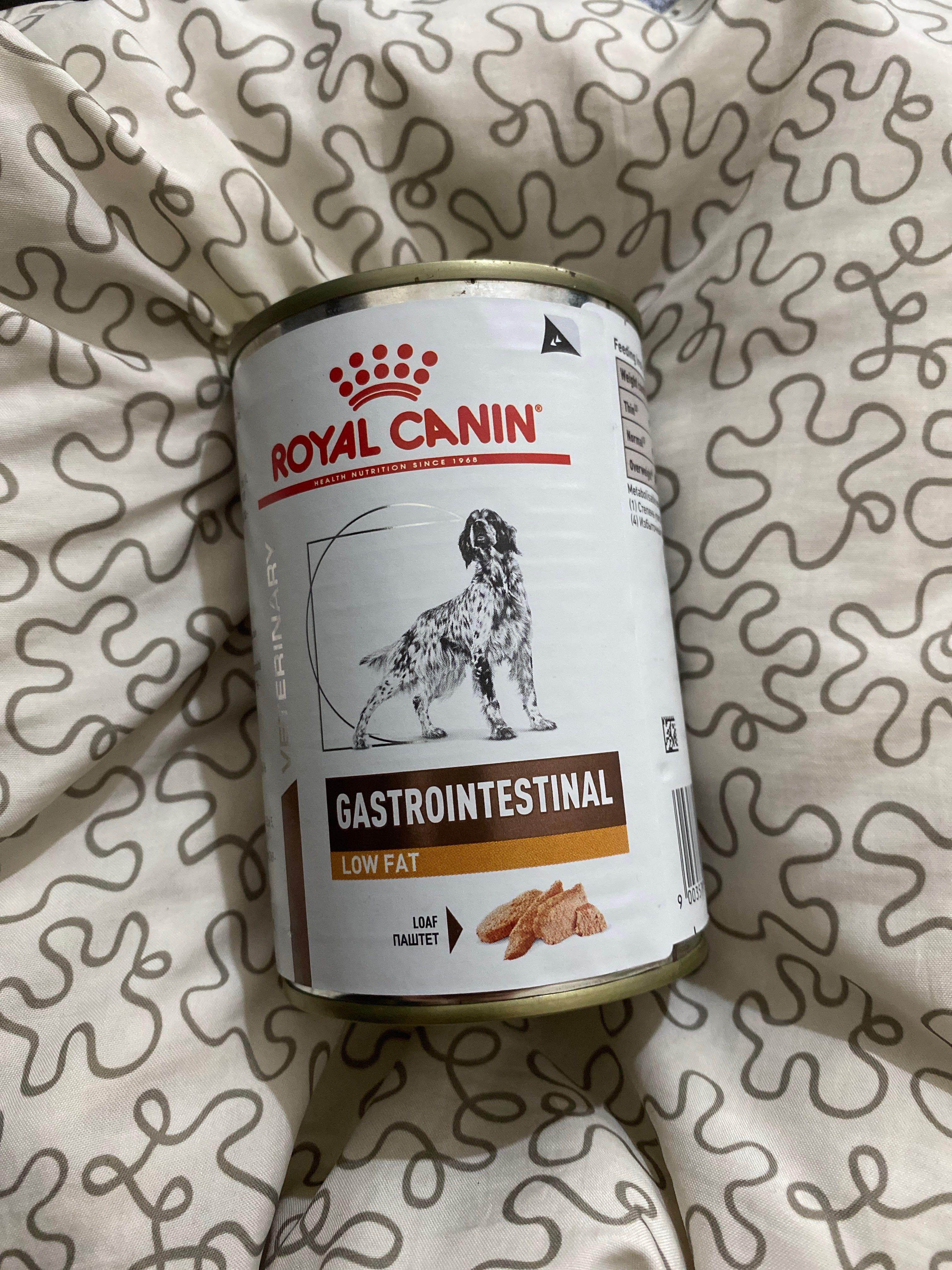 Royal Canin Gastrointestinal Low Fat Canned Pet Supplies Pet