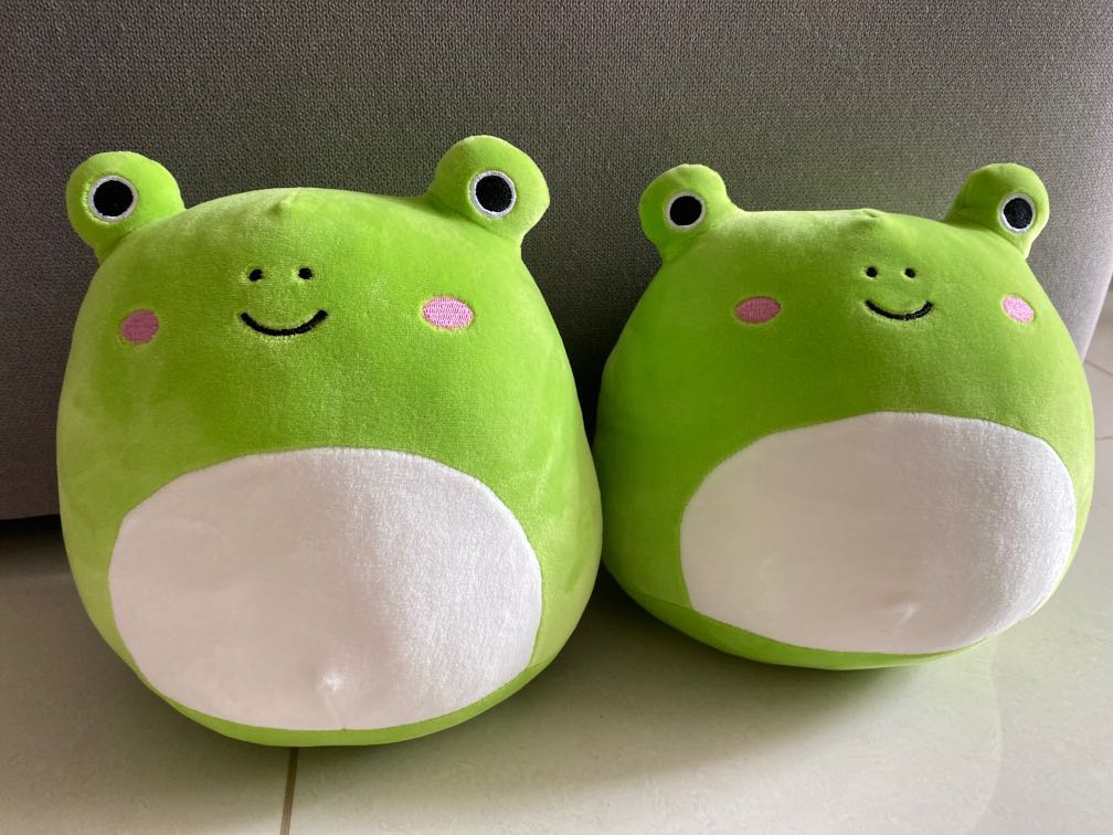 Squishmallow Frog, Hobbies & Toys, Toys & Games on Carousell