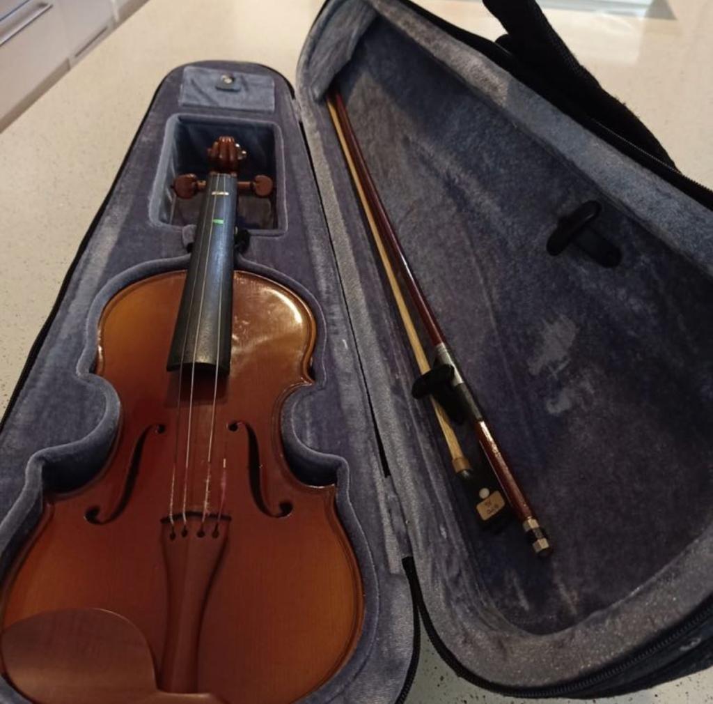 H outlet siegler violin