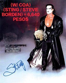 WWE / Wrestling Collectibles - STING / STEVE BORDEN (GRAVEYARD) WITH COA (AUTOGRAPH SIGN) 🖊️