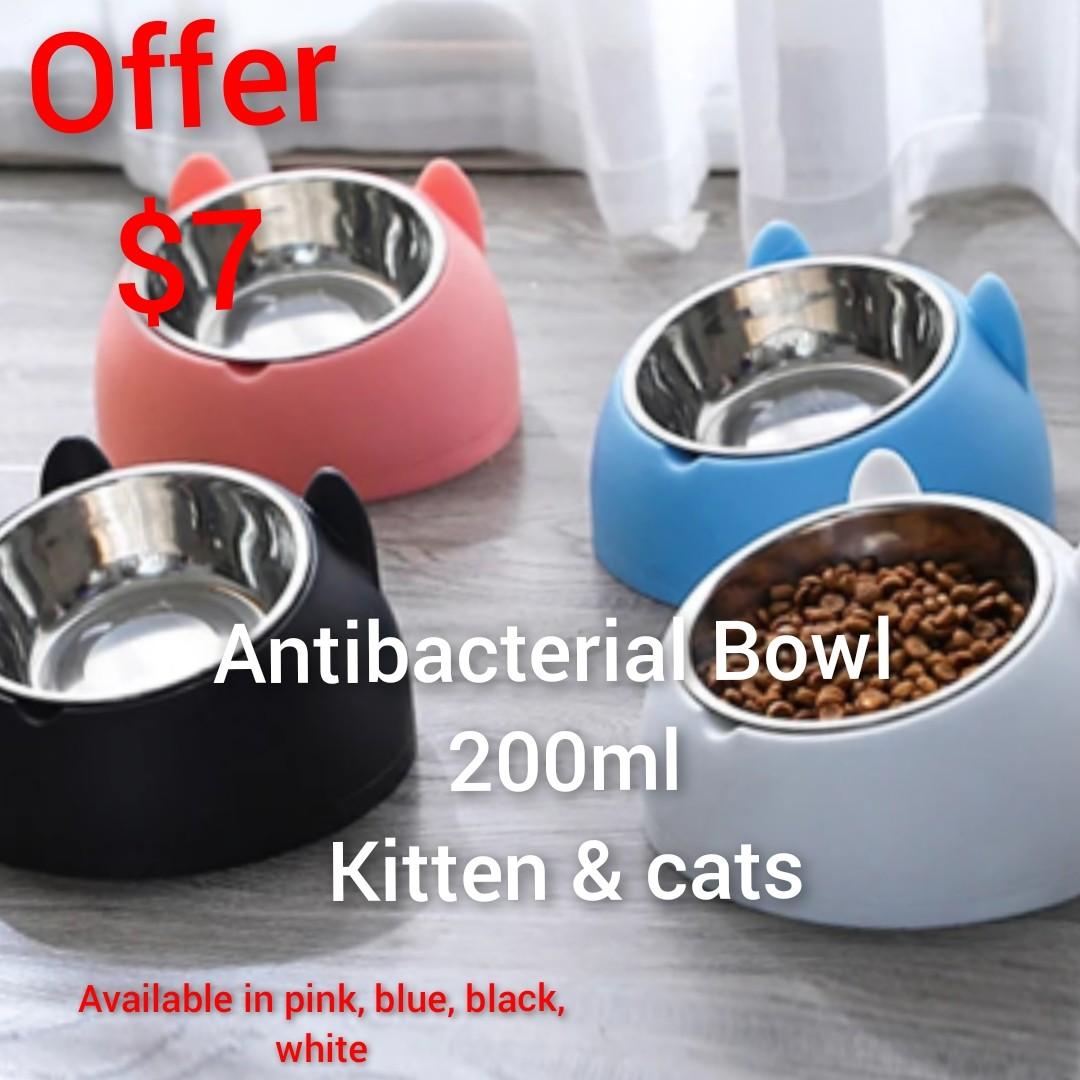 Antibacterial Bowl Cat Bowl Best Seller just 7 can fit inside cat