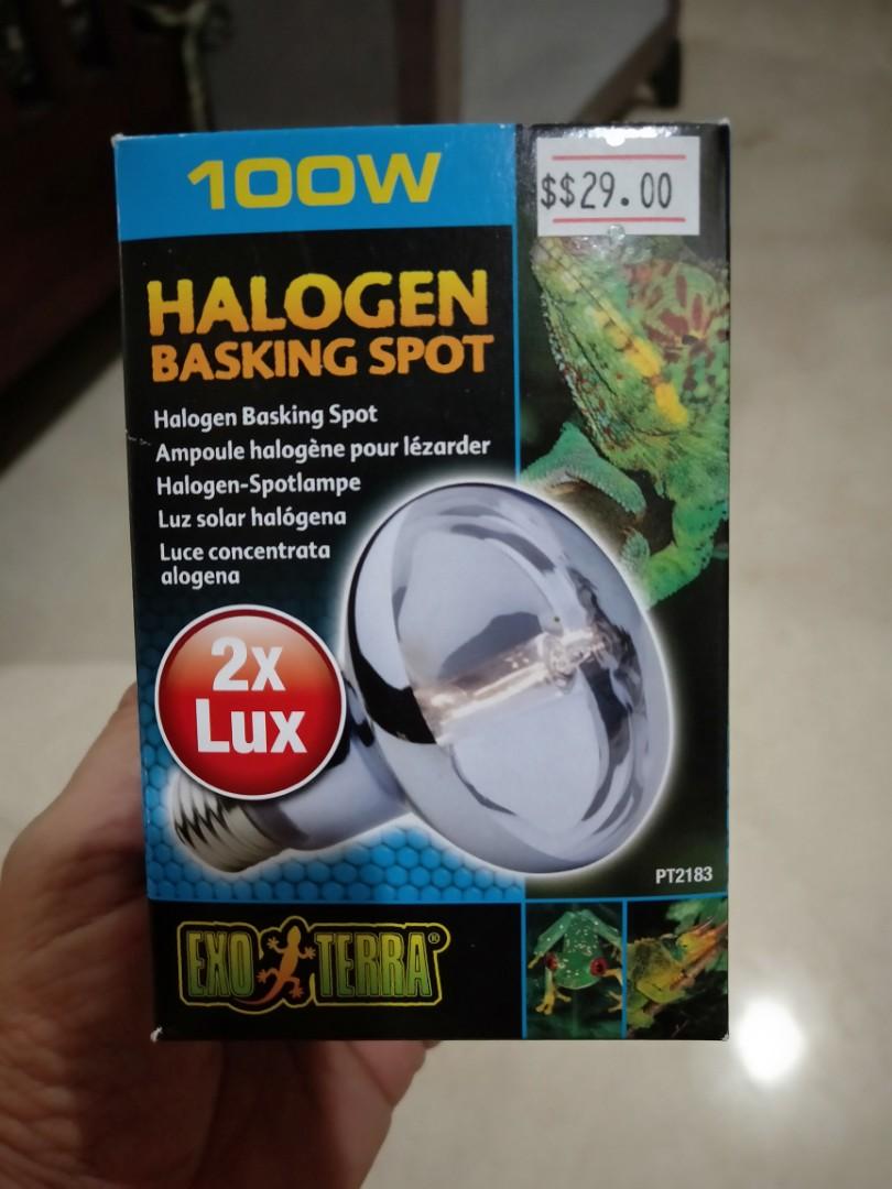 Basking light, Pet Supplies, Homes & Other Pet Accessories on Carousell