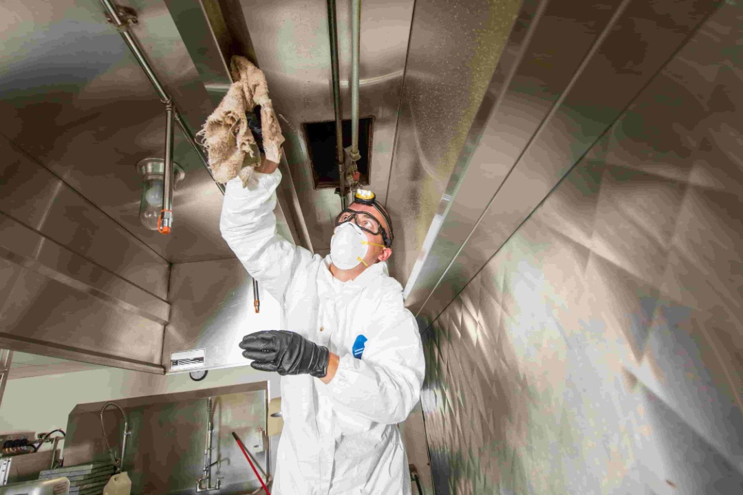 Deep Cleaning•Sanitising Kitchen & Restaurant628631708904991125