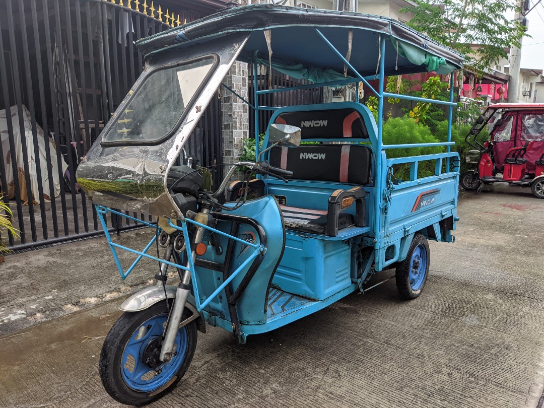 Ebike 3 Wheels with Roof Cargo Delivery Tricycle Motorbikes